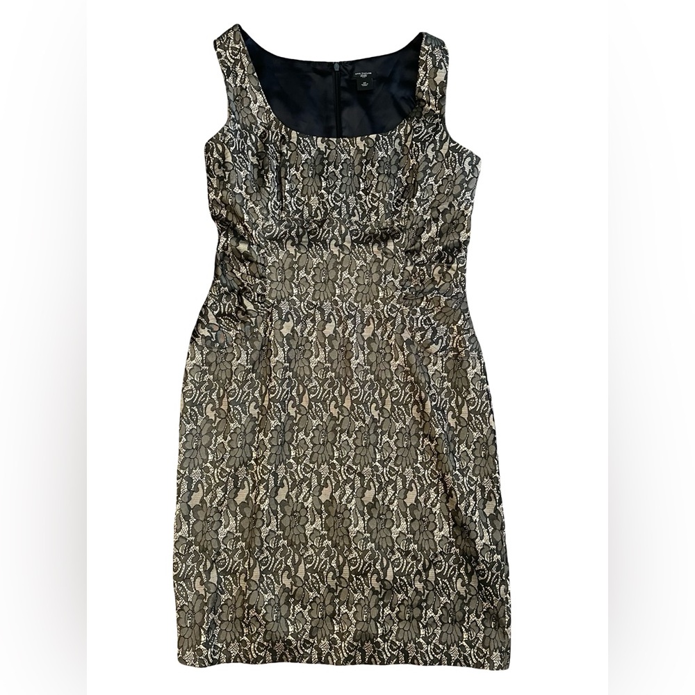Ann Taylor Black and Cream Lace Mini Dress